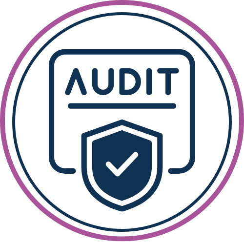 IT Audit